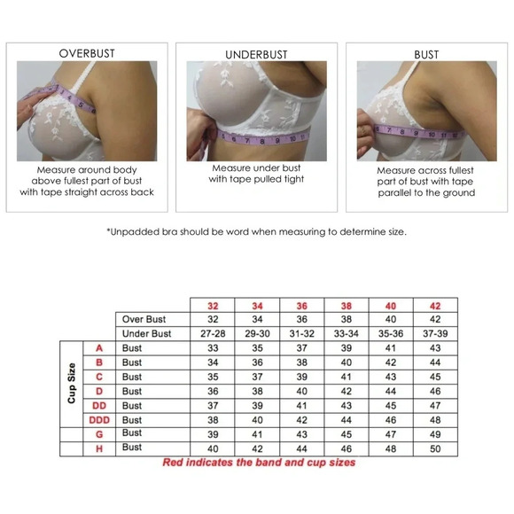 32DDD Paramour by Felina Madison UW‎ Bra Grape Wine NWT - Picture 11 of 11